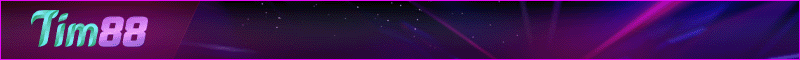 14.Banner Tim88 800x60