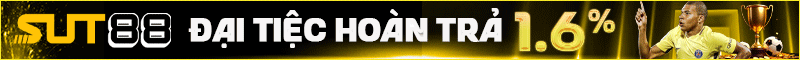 20 sut88 800 60 1