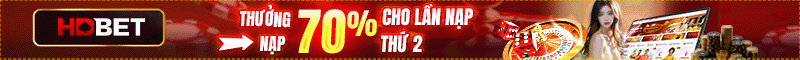 3.Banner HDBET 800x60